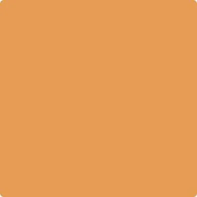 161: Brilliant Amber  by Benjamin Moore