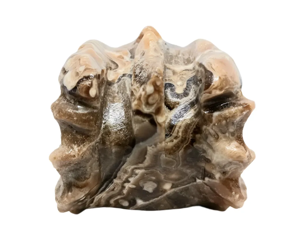 391G Amber Calcite Crystal Dragon Head