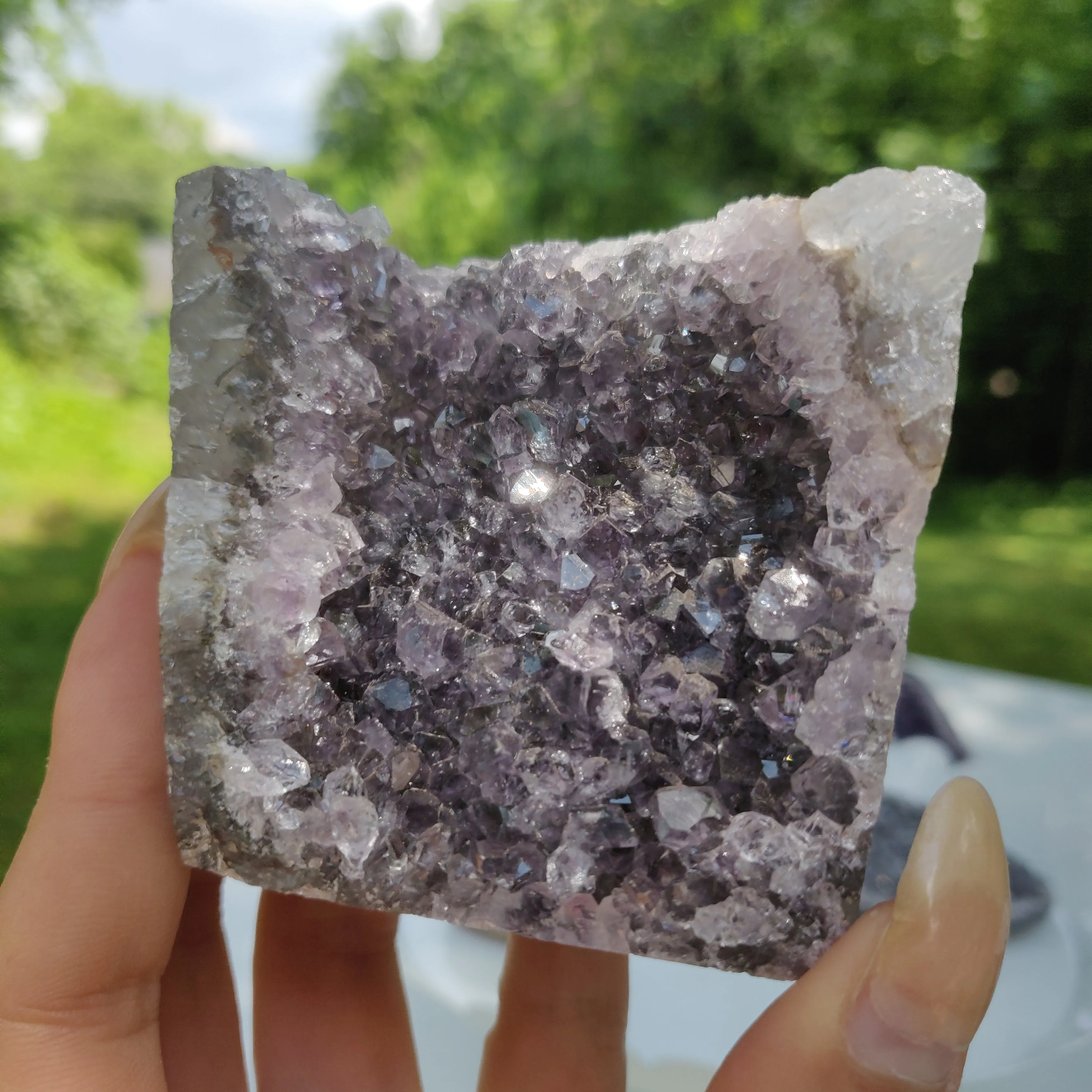 Amethyst Geode Free Form, Cut Base (#8)