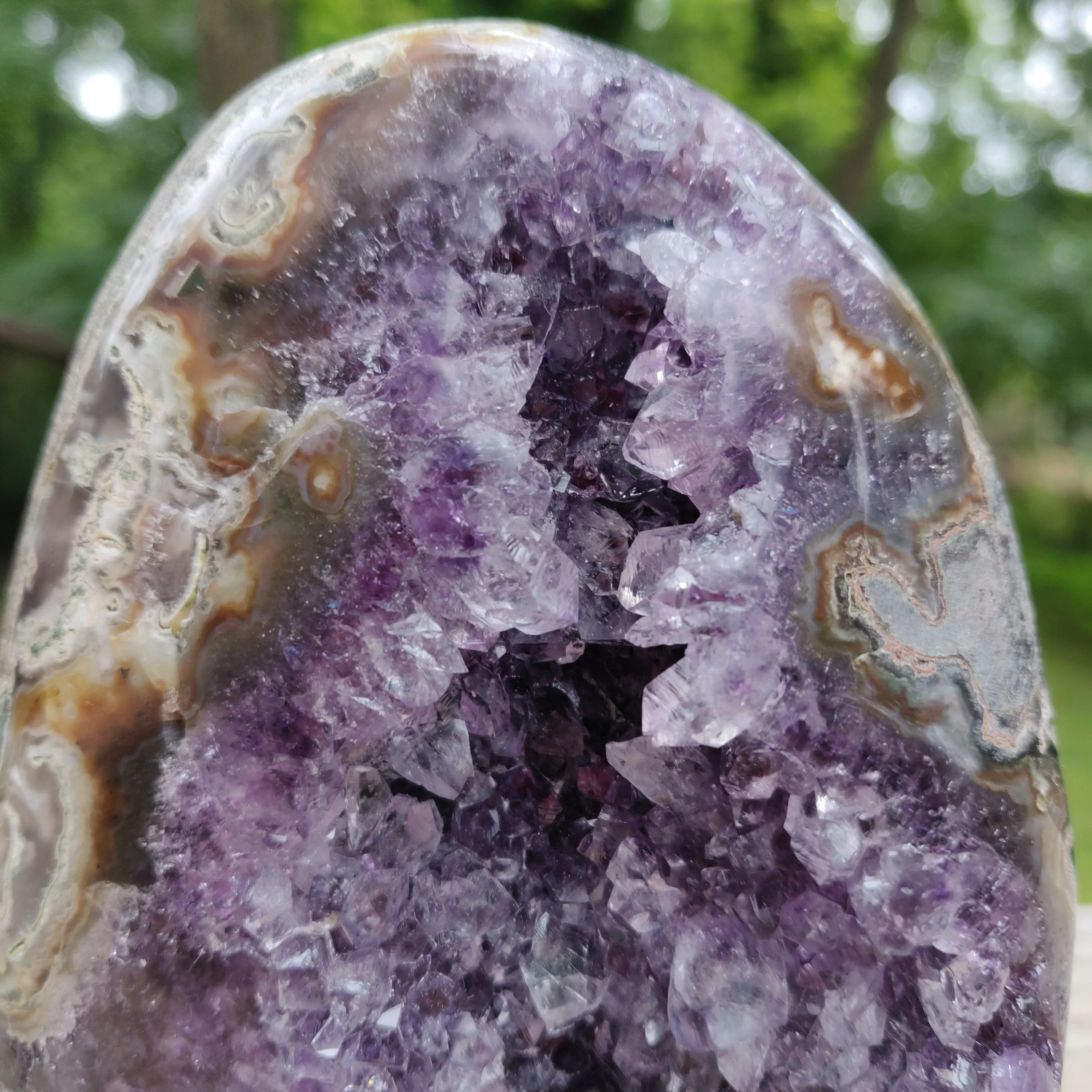 Amethyst Geode Free Form, Polished (#15)