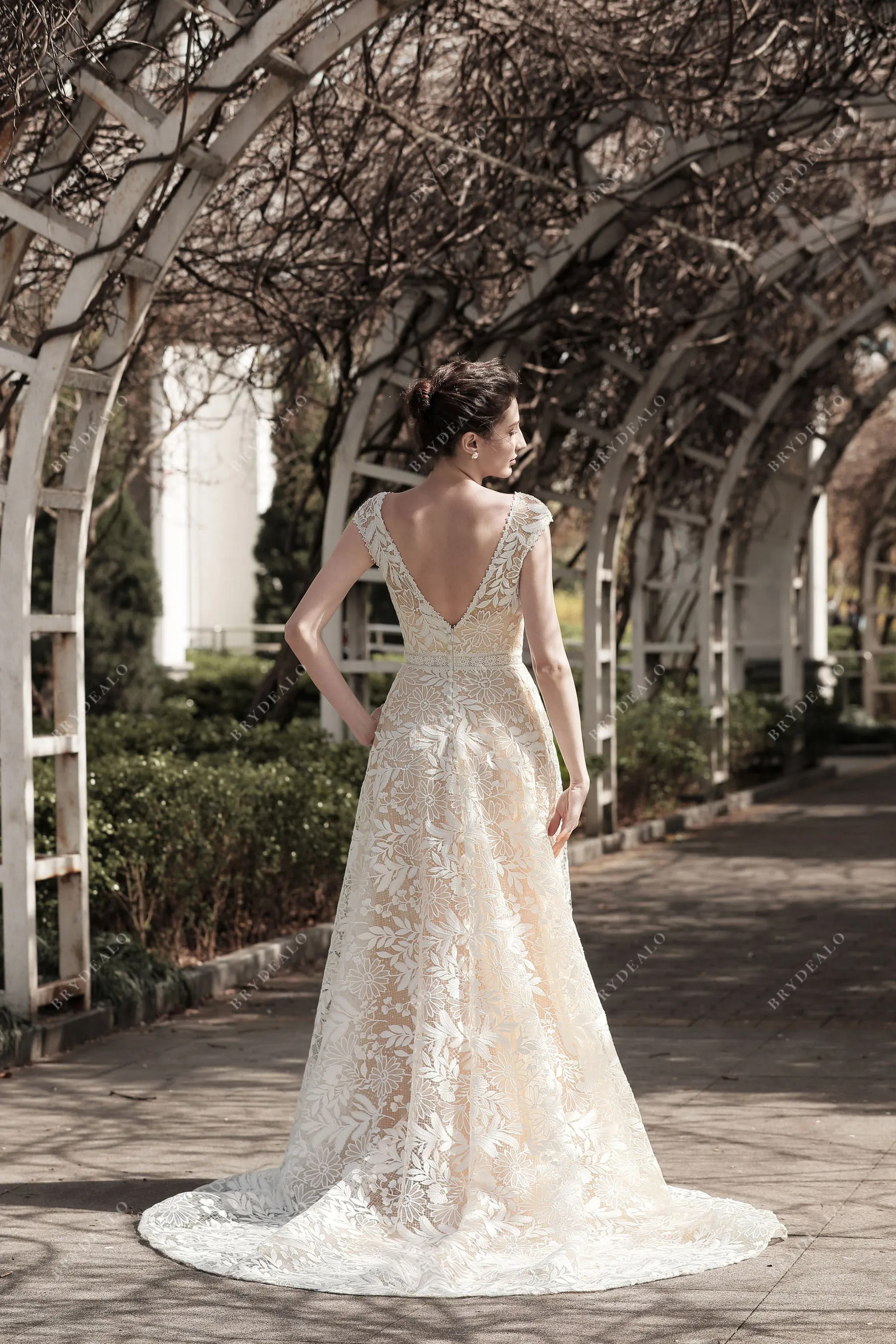 Cap Sleeve A-line Wedding Dress with Venise Lace