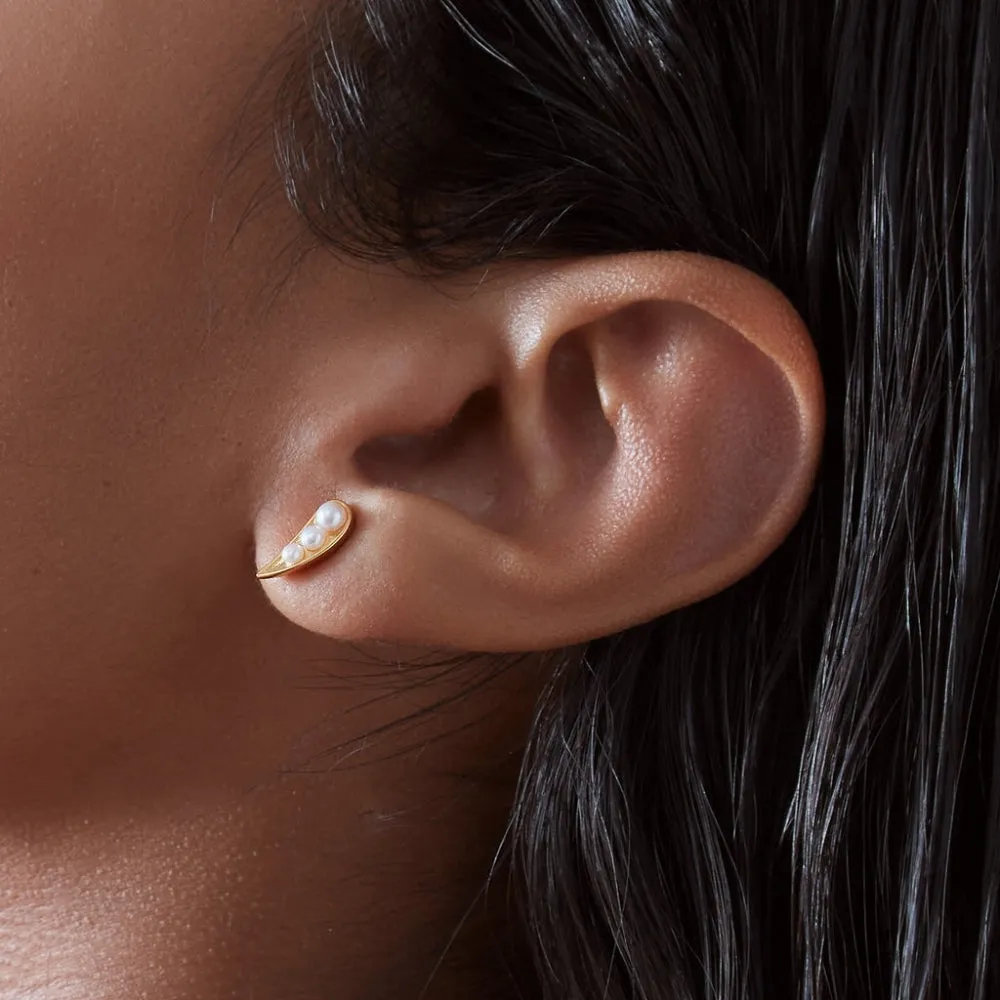 Kindred Pearl Stud Earrings - Gold - PLE02GP