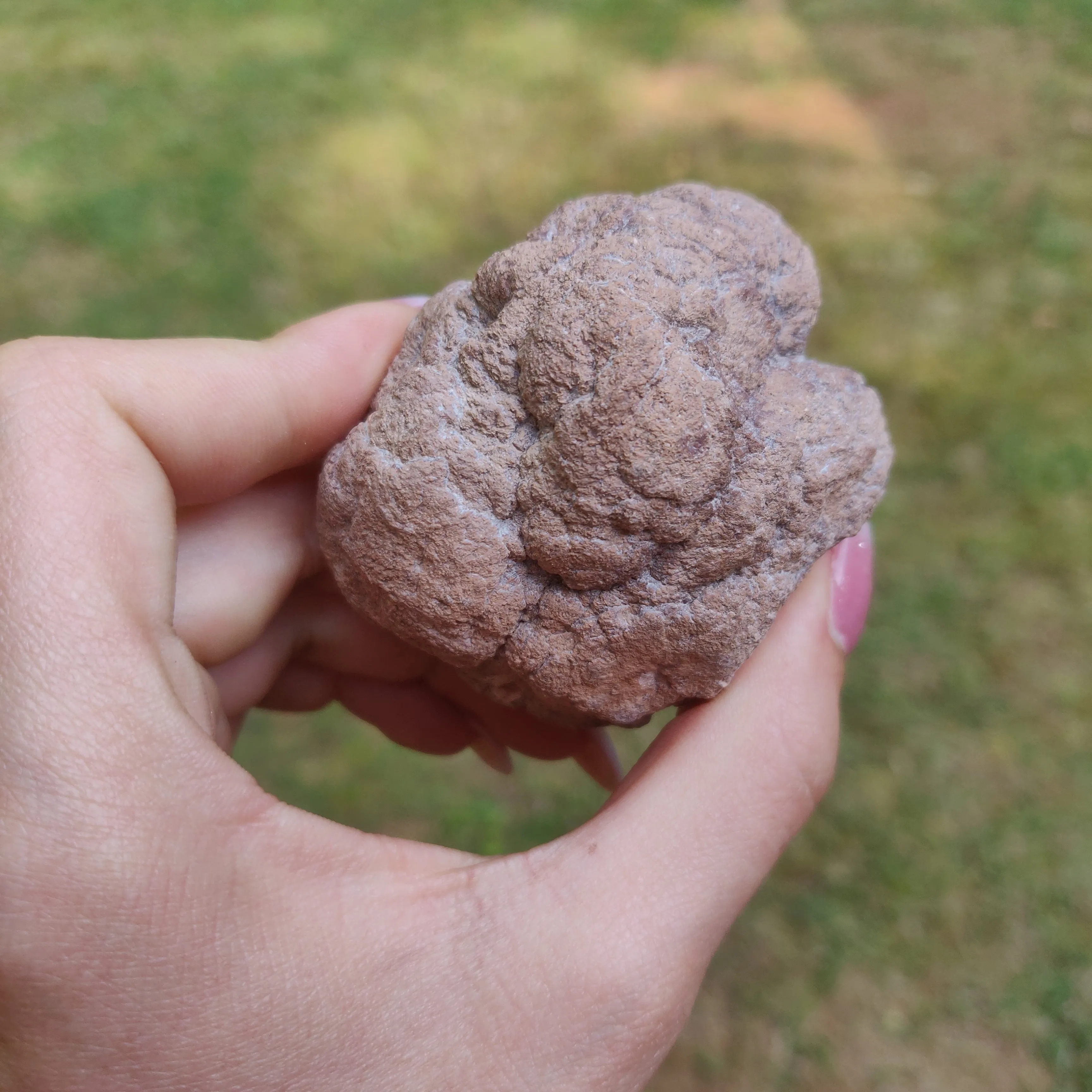 Pink Amethyst Geode with Fluorescent Calcite (#2F)