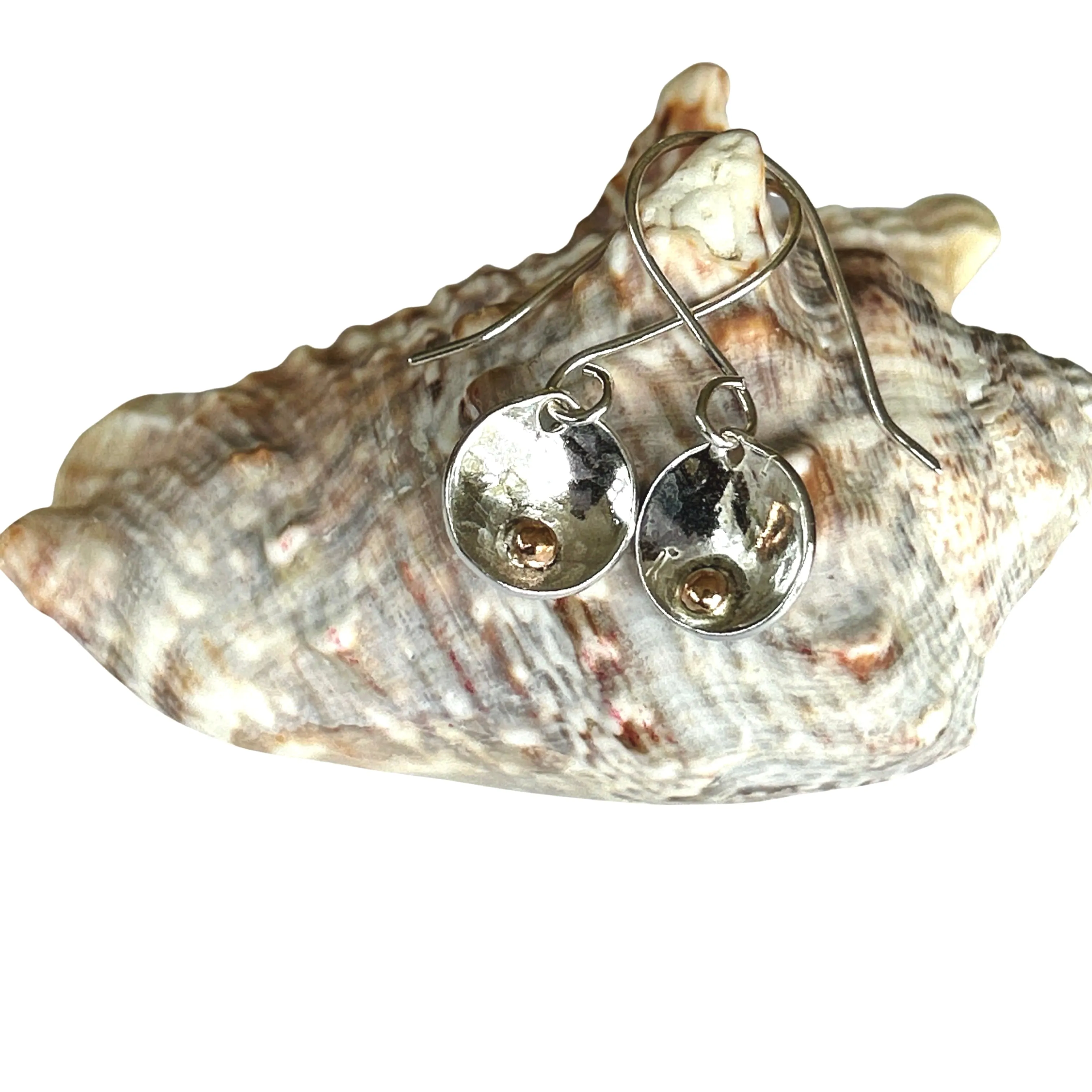Silver Disc Earrings With Gold