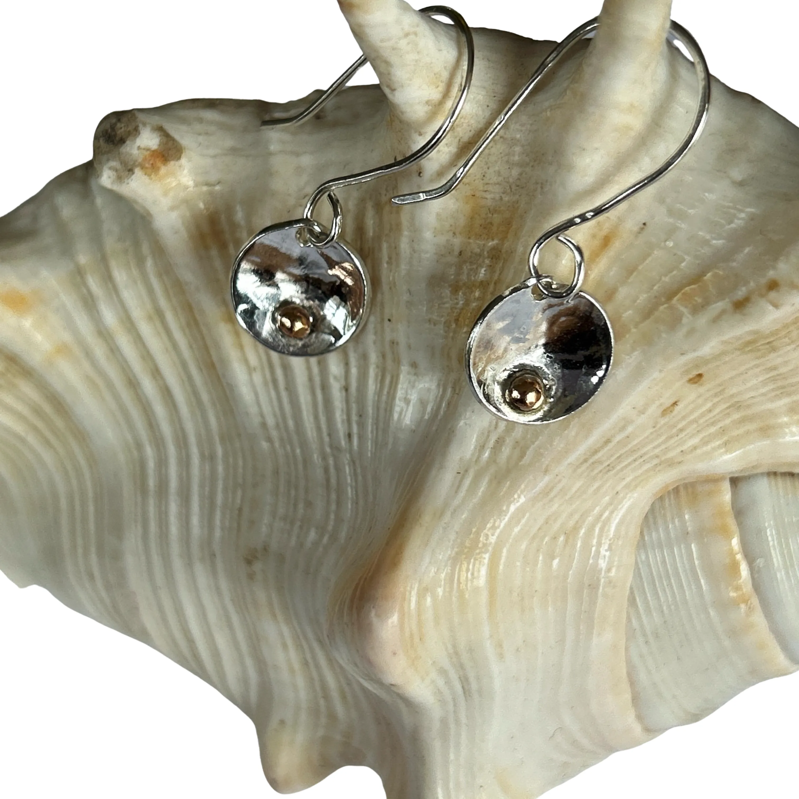 Silver Disc Earrings With Gold